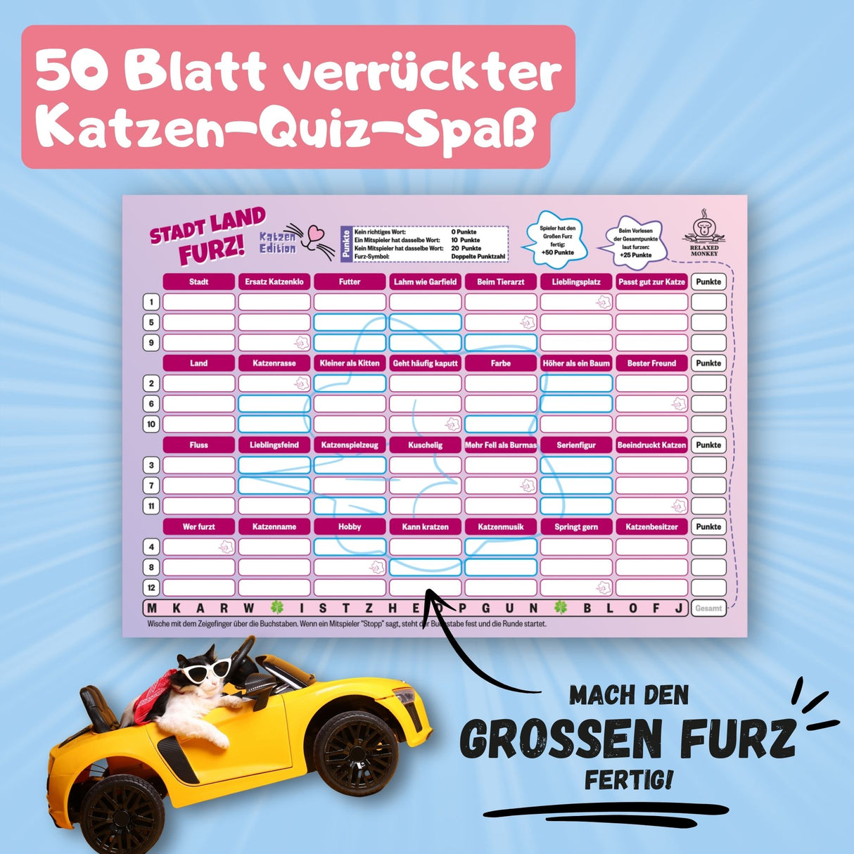 Stadt Land Furz Katzen Edition 50 Blatt verrückter Katzen Quiz Spaß